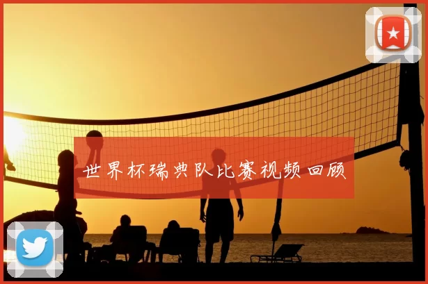 世界杯瑞典队比赛视频回顾