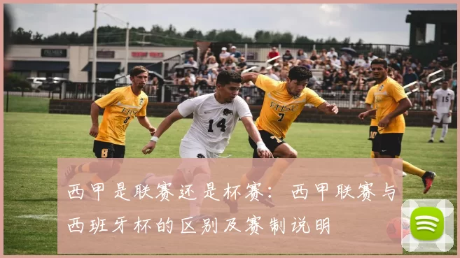 西甲是联赛还是杯赛：西甲联赛与西班牙杯的区别及赛制说明
