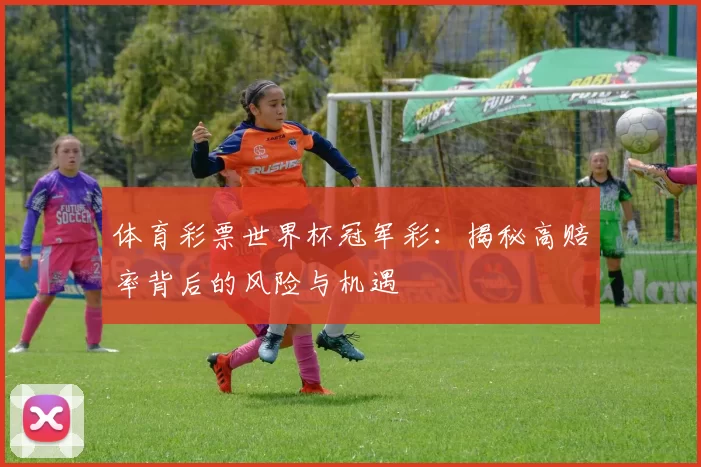 体育彩票世界杯冠军彩：揭秘高赔率背后的风险与机遇