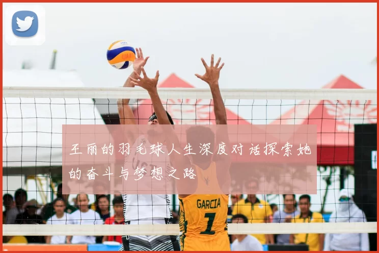 王丽的羽毛球人生深度对话探索她的奋斗与梦想之路