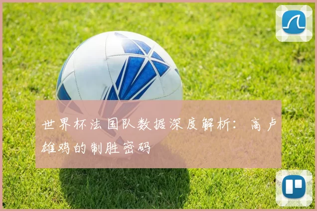 世界杯法国队数据深度解析：高卢雄鸡的制胜密码