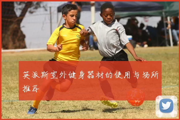 英派斯室外健身器材的使用与场所推荐