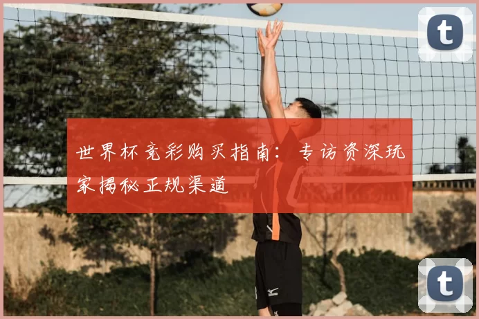 世界杯竞彩购买指南：专访资深玩家揭秘正规渠道