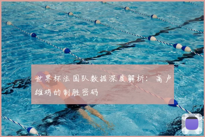 世界杯法国队数据深度解析：高卢雄鸡的制胜密码