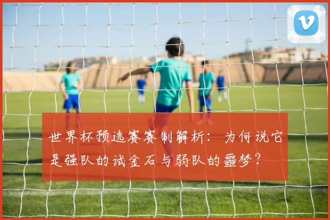世界杯预选赛赛制解析：为何说它是强队的试金石与弱队的噩梦？
