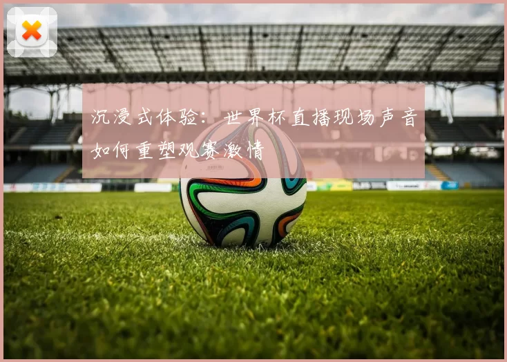 沉浸式体验：世界杯直播现场声音如何重塑观赛激情