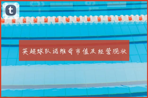 英超球队诺维奇市值及经营现状