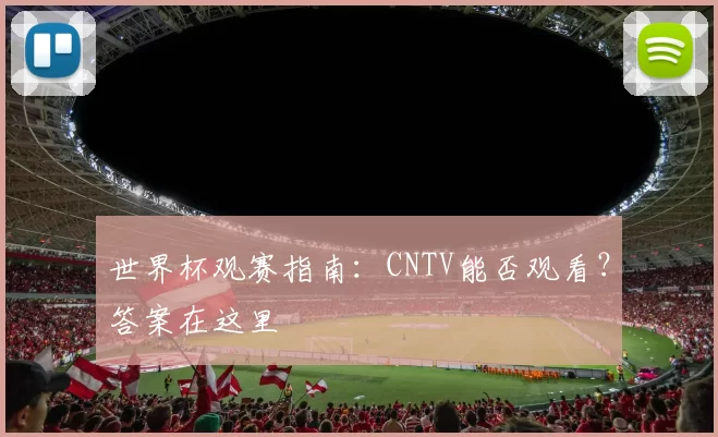 世界杯观赛指南：CNTV能否观看？答案在这里
