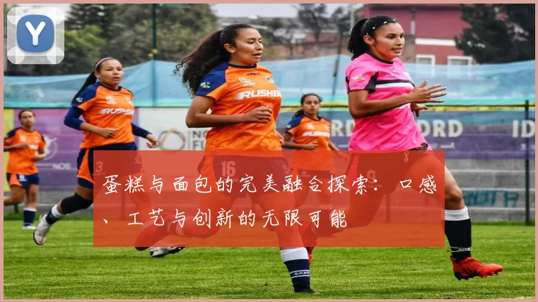 蛋糕与面包的完美融合探索：口感、工艺与创新的无限可能