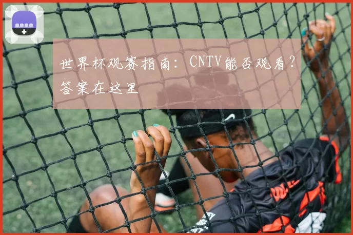 世界杯观赛指南：CNTV能否观看？答案在这里